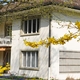 Ambulatorium Meiringen
